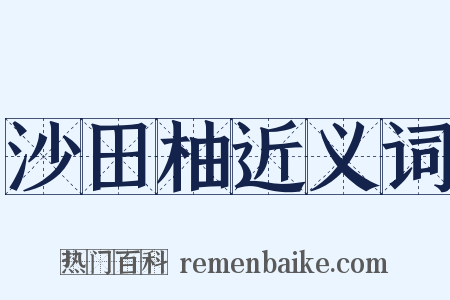 沙田柚近义词是什么意思的图片